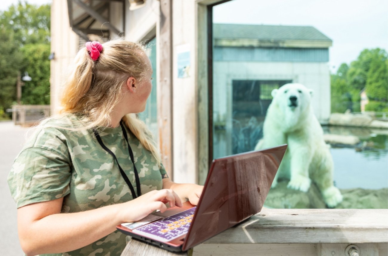 student intern at Louisville Zoo at polar bear exhibit