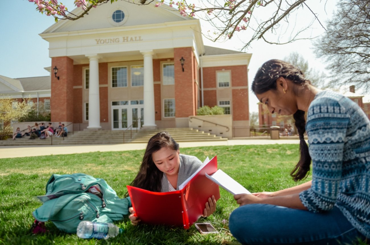 Students studying outside of Young Hall sitting on the ground underneath tree