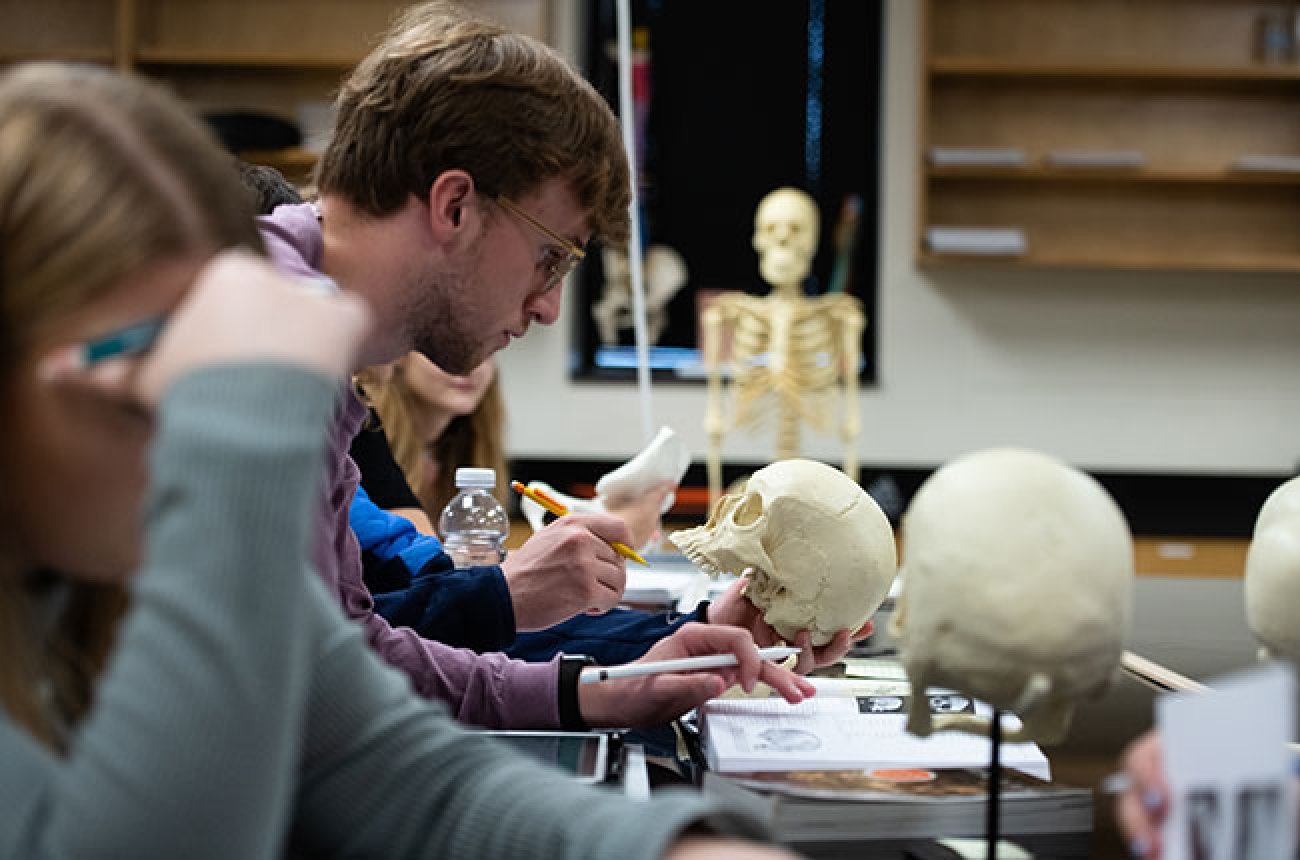 Students in forensics class studying skeleton skull with full skeleton in background
