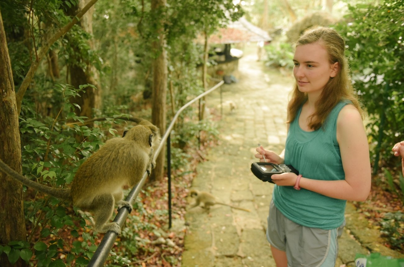 A student with a handheld device watches a monkey