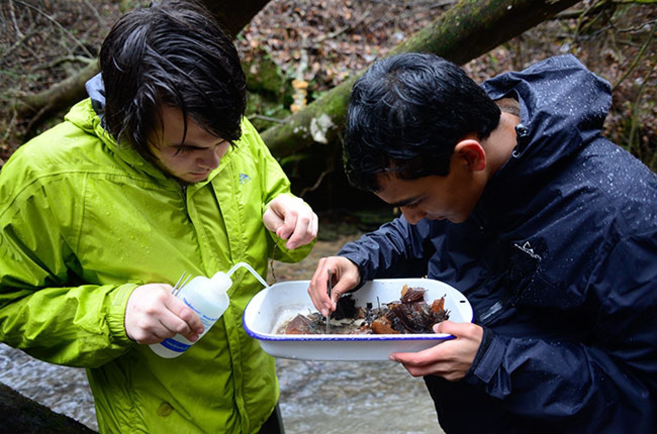 Two students near a creek examining a nature sample