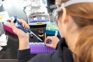 A student works with paper-based microfluidics during a class taught by associate professor of chemistry Daniel Scott.