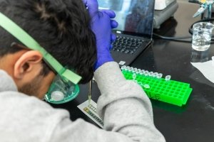 A student works with paper-based microfluidics during a class taught by associate professor of chemistry Daniel Scott.