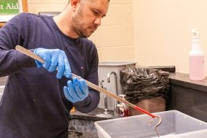 Centre College Biology classes go face-to-face with venomous reptiles