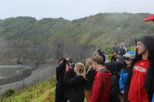 Students stand on a hillside looking at the ocean with a rugged coastline in the background.