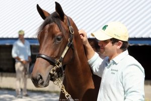 Centre College student Catesby Clay strokes the neck of a young horse while holding its lead rope.