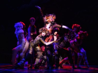 Cats 2023 CATS performers on stage, dressed in cat costumes