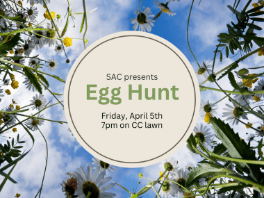image of daisies in grass and information about Egg Hunt event