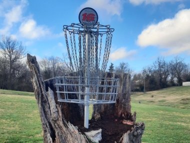 Frisbee golf basket inside of a hollow tree trunk against a blue sky and green grass