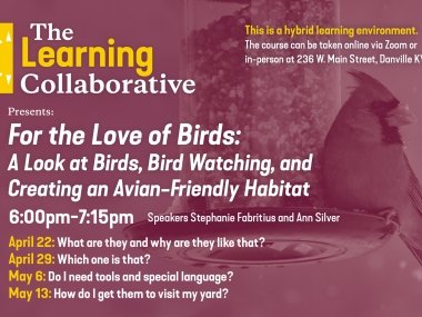 Text of dates, times, and location for For the Love of Birds lecture series