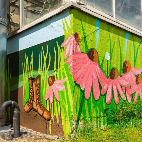 Mural wall with flowers and garden boots on the outside of the greenhouse