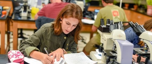 Student in lab