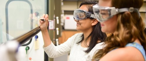 students conducting alzheimer's research