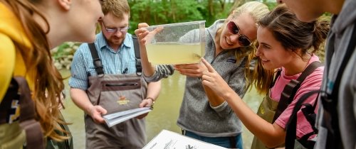 Biology students conducting a field study