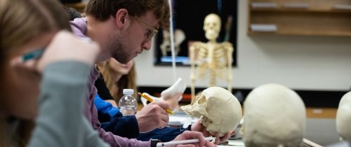 students examining a skeleton in forensic anthropology class