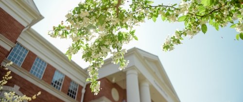 Trees blooming outside of Crounse Hall