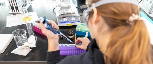 A student works with paper-based microfluidics during a class taught by associate professor of chemistry Daniel Scott.