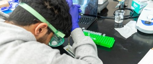 A student works with paper-based microfluidics during a class taught by associate professor of chemistry Daniel Scott.