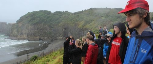 Students stand on a hillside looking at the ocean with a rugged coastline in the background.
