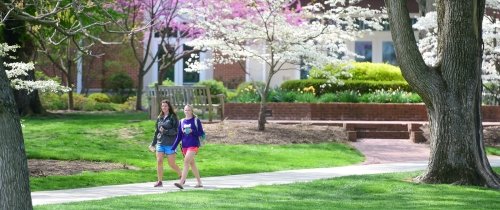 spring on campus students walking in front of Sutcliffe