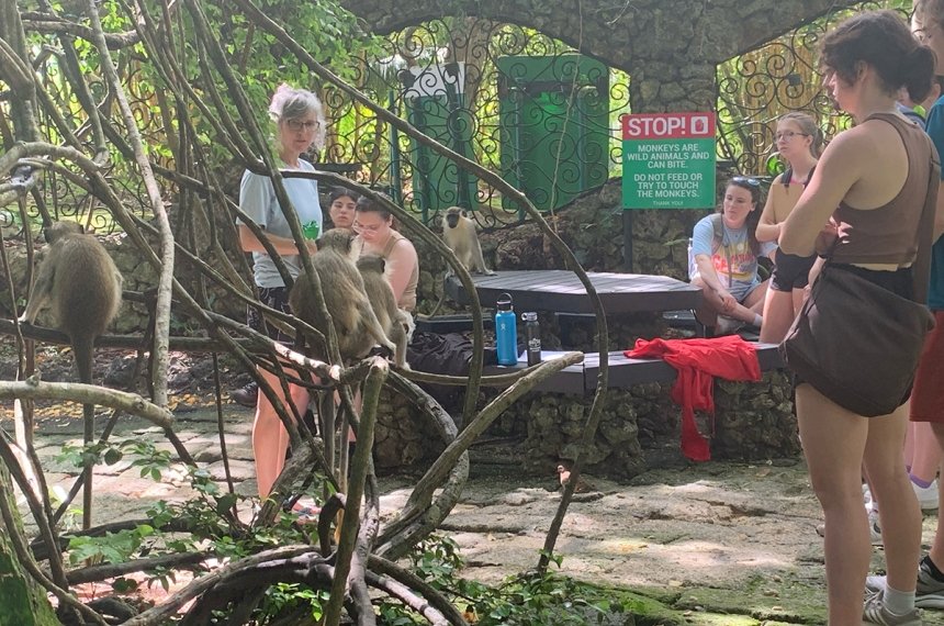 Students traveled to Barbados during the summer of 2023 in the course, &quot;Research in Primate Behavior.&quot;