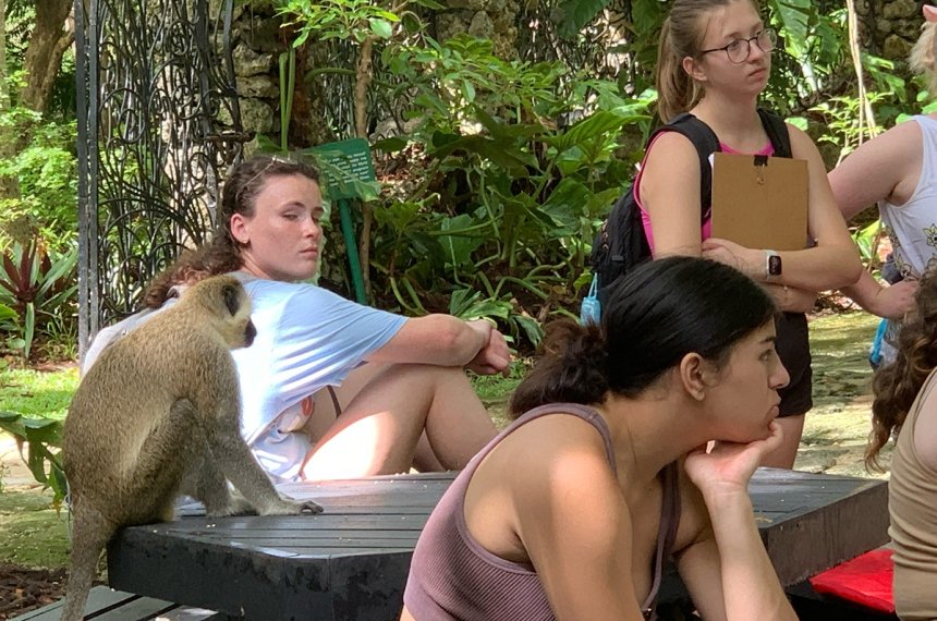 Students traveled to Barbados during the summer of 2023 in the course, &quot;Research in Primate Behavior.&quot;