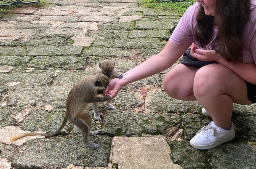 Students traveled to Barbados during the summer of 2023 in the course, &quot;Research in Primate Behavior.&quot;
