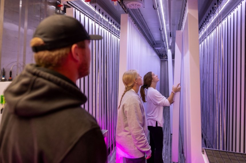 Centre College students RiLee Waggoner (left, class of 2024), Macey Dukes (right, class of 2024) and Abby Brainard (center, class of 2025) view the lettuce planted at the freight farm.