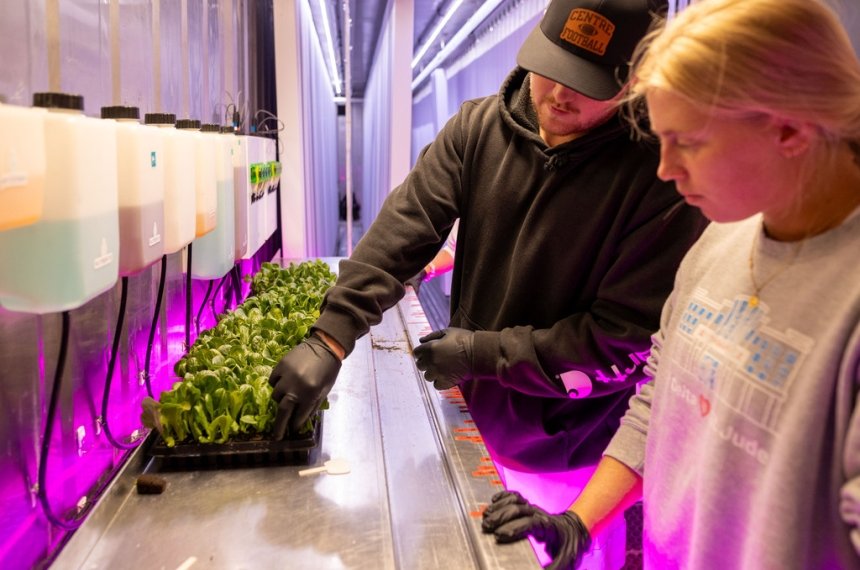 Centre College students RiLee Waggoner (left, class of 2024) and Abby Brainard (right, class of 2025) view the lettuce planted at the freight farm.