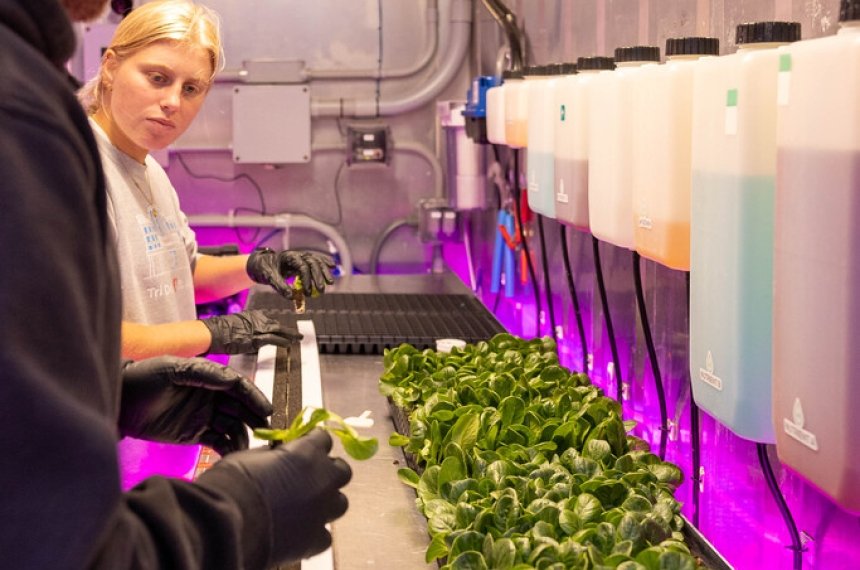 Centre College students RiLee Waggoner (right, class of 2024) and Abby Brainard (left, class of 2025) view the lettuce planted at the freight farm.
