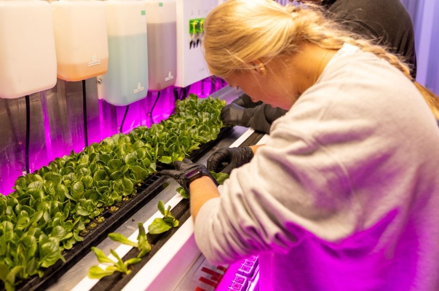Centre College's Abby Brainard (class of 2025) view the lettuce planted at the freight farm.