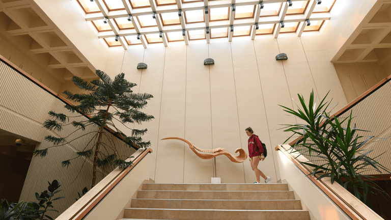 Interior of Young Hall student walk down the steps in the main lobby