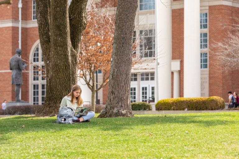 A student studying under a tree
