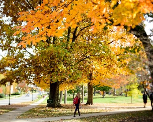 students walking across campus