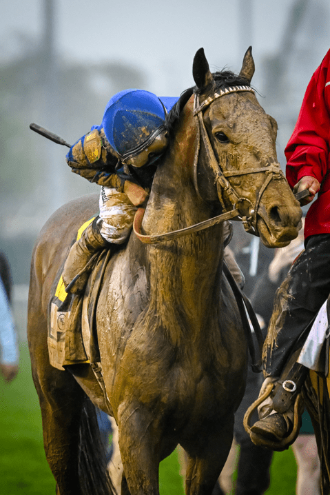 Jockey Junior Alvarado kisses the mane of Sovereignty. Both are covered in mud.