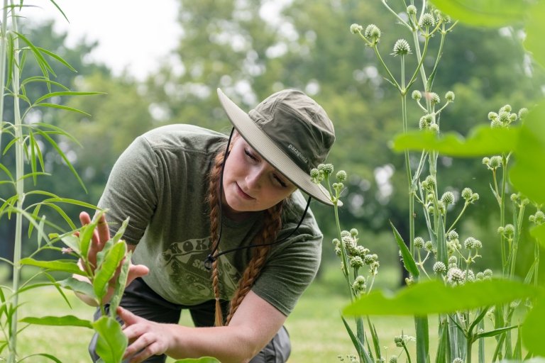 A Centre student intern wearing a green outdoors hat and green t-shirt exames a plant at Shaker Village. 