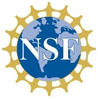 NSF Scholar Logo