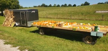 Sisters of Loretto sell pumpkins.