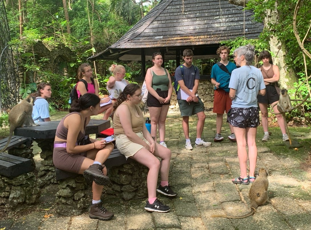 Students traveled to Barbados during the summer of 2023 in the course, "Research in Primate Behavior."