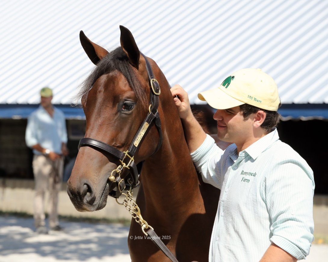 Centre College student Catesby Clay strokes the neck of a young horse while holding its lead rope. 